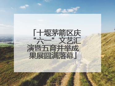 十堰茅箭区庆“六一”文艺汇演暨五育并举成果展圆满落幕