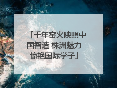千年窑火映照中国智造 株洲魅力惊艳国际学子