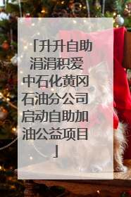 升升自助 涓涓积爱中石化黄冈石油分公司启动自助加油公益项目