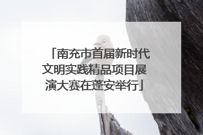 南充市首届新时代文明实践精品项目展演大赛在蓬安举行
