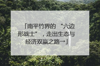 南平竹界的 “六边形战士”，走出生态与经济双赢之路→