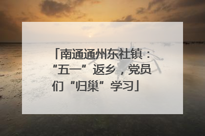 南通通州东社镇：“五一”返乡，党员们“归巢”学习