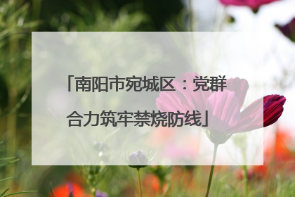 南阳市宛城区：党群合力筑牢禁烧防线