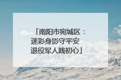 南阳市宛城区：迷彩身影守平安 退役军人践初心