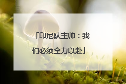 印尼队主帅：我们必须全力以赴