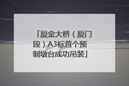 厦金大桥（厦门段）A3标首个预制墩台成功吊装