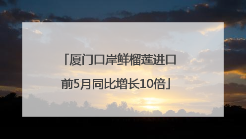 厦门口岸鲜榴莲进口 前5月同比增长10倍