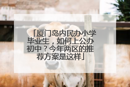 厦门岛内民办小学毕业生，如何上公办初中？今年两区的推荐方案是这样