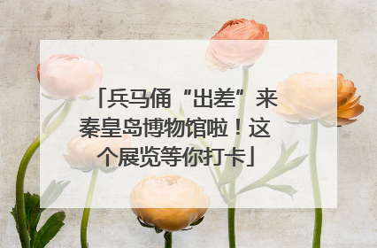 兵马俑“出差”来秦皇岛博物馆啦！这个展览等你打卡