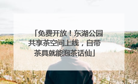 免费开放！东湖公园共享茶空间上线，自带茶具就能泡茶话仙