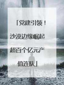 党建引领！沙漠边缘崛起超百个亿元产值连队
