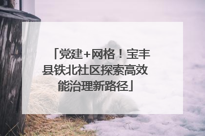 党建+网格！宝丰县铁北社区探索高效能治理新路径