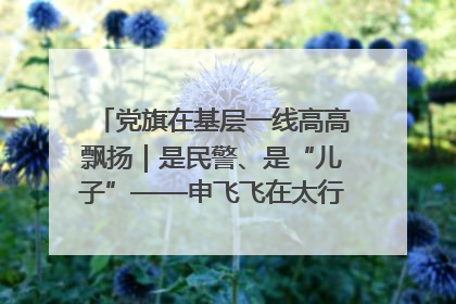 党旗在基层一线高高飘扬｜是民警、是“儿子”——申飞飞在太行山中的一线坚守