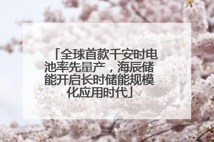 全球首款千安时电池率先量产，海辰储能开启长时储能规模化应用时代