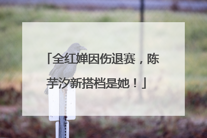 全红婵因伤退赛，陈芋汐新搭档是她！