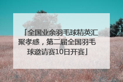 全国业余羽毛球精英汇聚孝感，第二届全国羽毛球邀请赛10日开赛