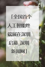 全国首个人工智能终端展在深圳启幕_深圳新闻网