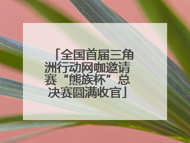 全国首届三角洲行动网咖邀请赛“熊族杯”总决赛圆满收官