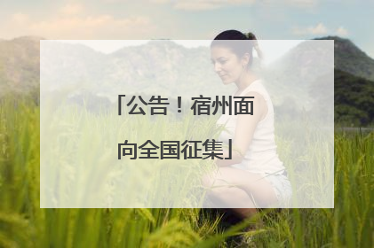公告！宿州面向全国征集