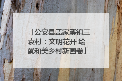 公安县孟家溪镇三袁村：文明花开 绘就和美乡村新画卷