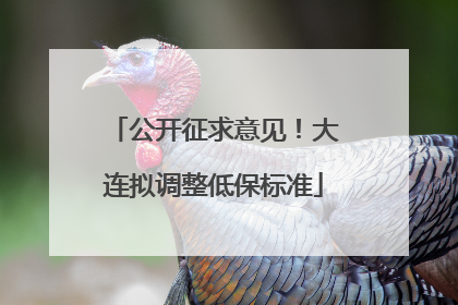 公开征求意见！大连拟调整低保标准