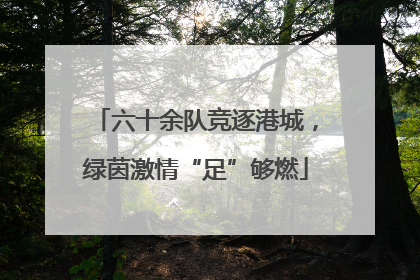 六十余队竞逐港城，绿茵激情“足”够燃