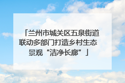 兰州市城关区五泉街道联动多部门打造乡村生态景观“洁净长廊”