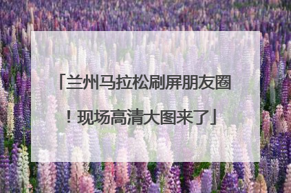 兰州马拉松刷屏朋友圈！现场高清大图来了