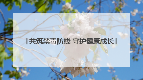 共筑禁毒防线 守护健康成长