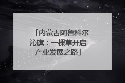 内蒙古阿鲁科尔沁旗：一棵草开启产业发展之路