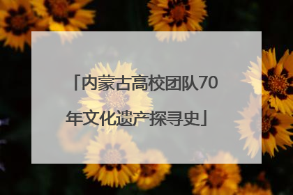 内蒙古高校团队70年文化遗产探寻史
