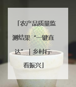 农产品质量监测结果“一键直达”｜乡村行·看振兴