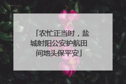 农忙正当时，盐城射阳公安护航田间地头保平安