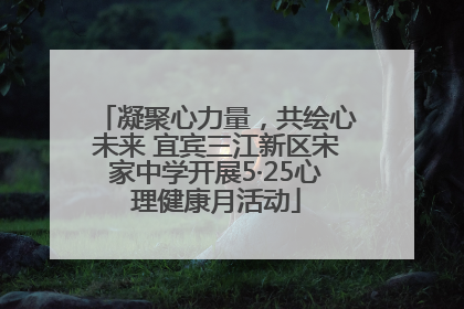 凝聚心力量，共绘心未来 宜宾三江新区宋家中学开展5·25心理健康月活动