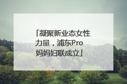 凝聚新业态女性力量，浦东Pro妈妈妇联成立