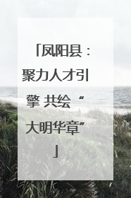 凤阳县：聚力人才引擎 共绘“大明华章”