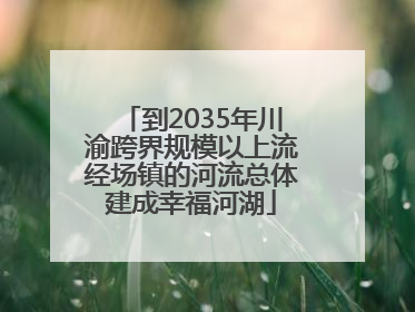到2035年川渝跨界规模以上流经场镇的河流总体建成幸福河湖