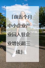 前五个月中小企业产业园入驻企业增长超三成