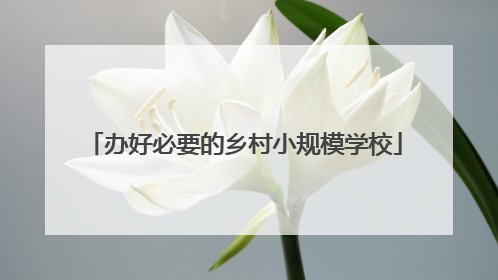 办好必要的乡村小规模学校