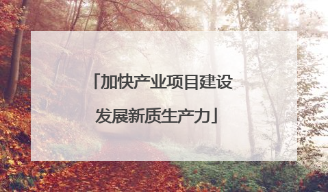 加快产业项目建设 发展新质生产力
