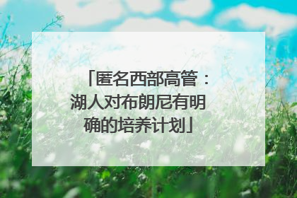 匿名西部高管：湖人对布朗尼有明确的培养计划