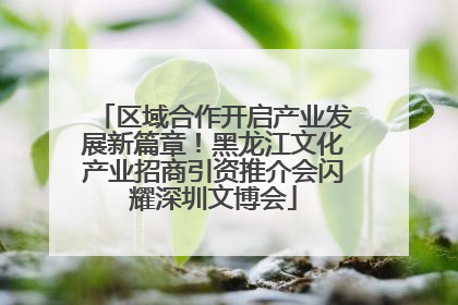 区域合作开启产业发展新篇章！黑龙江文化产业招商引资推介会闪耀深圳文博会