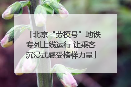 北京“劳模号”地铁专列上线运行 让乘客沉浸式感受榜样力量