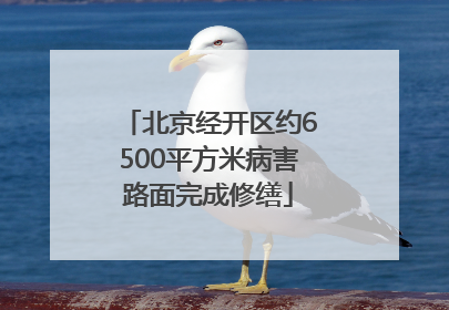 北京经开区约6500平方米病害路面完成修缮