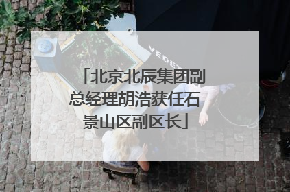 北京北辰集团副总经理胡浩获任石景山区副区长