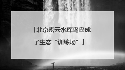 北京密云水库鸟岛成了生态“训练场”