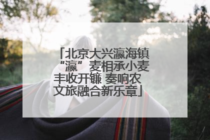 北京大兴瀛海镇“瀛”麦相承小麦丰收开镰 奏响农文旅融合新乐章