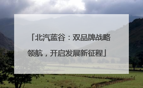 北汽蓝谷：双品牌战略领航，开启发展新征程