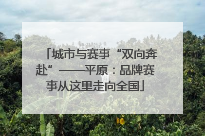 城市与赛事“双向奔赴”——平原：品牌赛事从这里走向全国