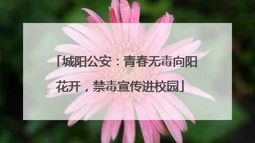 城阳公安：青春无毒向阳花开，禁毒宣传进校园